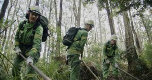 Callout for firefighters for Port Phillip forest fire management