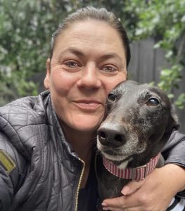 Greyhounds in need of caring homes