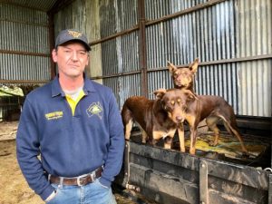 Tails wagging for working dogs event