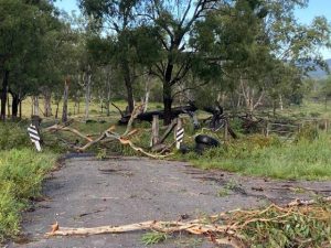 Destructive winds weather warning