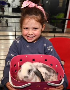 School holiday petting zoo