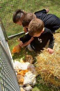 Children’s Week Celebrations