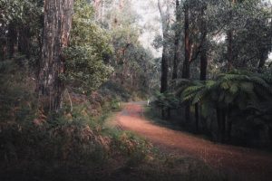 Landcare  under review