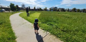 Melton’s Mow woe’s