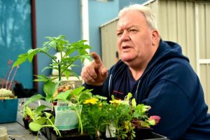 Tips for an absolutely radishing garden