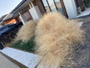 Tumbleweeds rollin’ through the west
