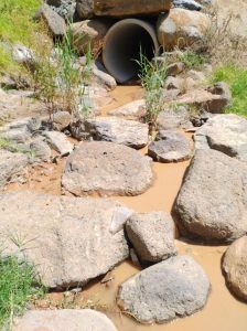 Council to investigate