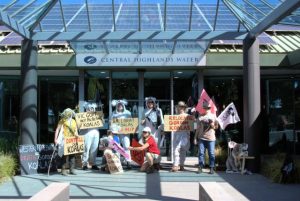 Extinction Rebellion demand answers on fate of Gordon koalas