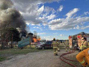 Plumpton Christmas Tree farm shed burns