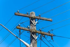 Be cautious when working close to power lines, warns ESV