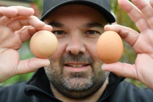 An egg-citing discovery