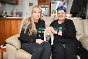 Help out while Hoppy’s hurts