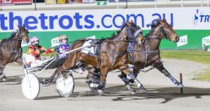 Preux Chevalier shock as Catch A Wave is beaten by big brother
