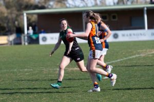 Sharks, Bears named in TOYS