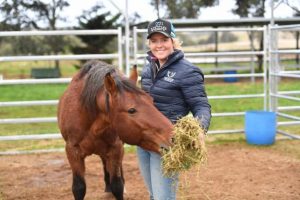 Giving brumbies a second chance