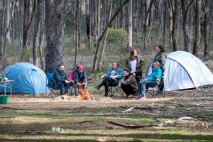 Take care in our state forests this long weekend