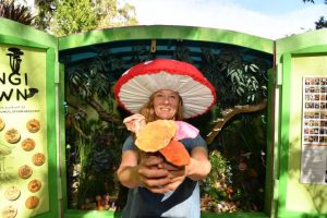 Won’t you take me to, Fungi Town?