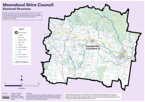 More councillors, no wards