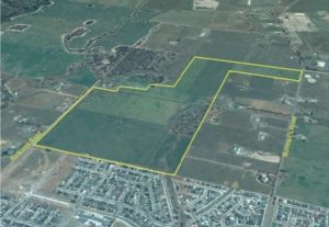 Fighting to say goodbye