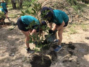Junior landcare and biodiversity grants open
