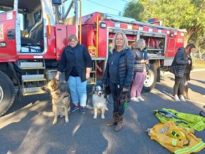 A helping hand? How about a helping paw