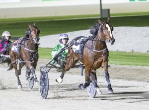 Pitt takes lead in premiership