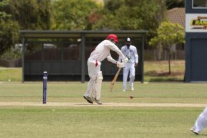 Lions looking to roar again