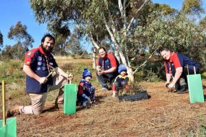 From little things, big things grow