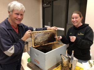 A lesson in responsible bee keeping