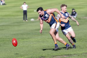 Bears season comes to a disappointing end