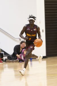 Thoroughbreds youngsters jumping at the opportunities