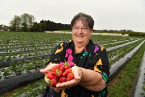 Berry fun festival returns