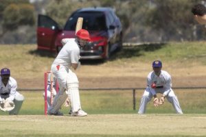 Positive signs despite losses for Melton