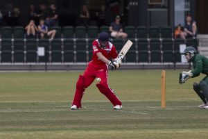 Lions still without a win in Subbies