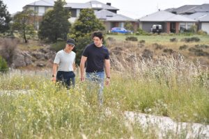 Unmowed grass in Aintree raise snake and fire hazard concern