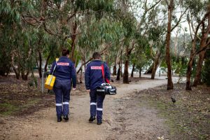 Stay safe this snake season