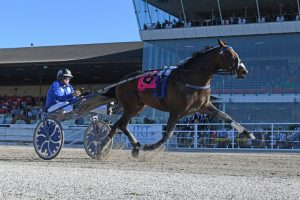 Star Kiwis bound for February 1 features at Melton