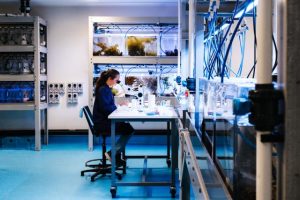 Study finds support for scientists