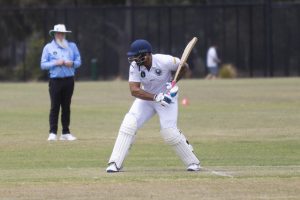 Falcons sitting content