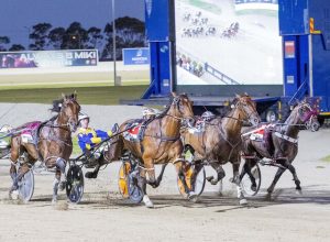 Swayzee wins Hunter Cup