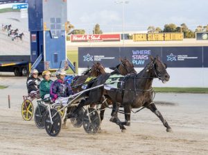 Big results for Martello as Hammer drops at Melton and Albury