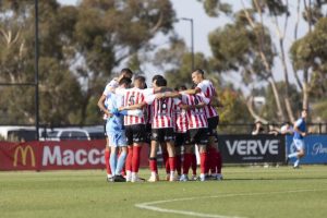 Georgies ready to attack the season