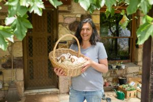 Foraging for knowledge