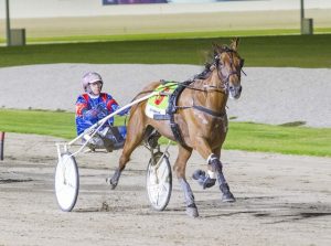 Jet booked for mighty mare after third Sumthingaboutmaori win