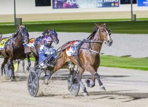 Susan returns in style as bigger things await star trotter