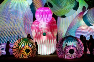 LIT returns to Werribee