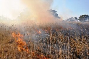 Private burn-off permits issued for farmers