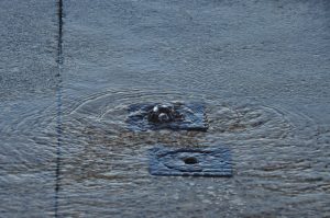 Lack of action for ongoing water leak