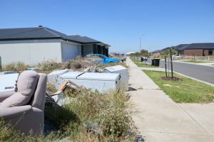 Council calling for govt support on spending