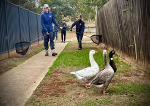 Rescuers call for kindness